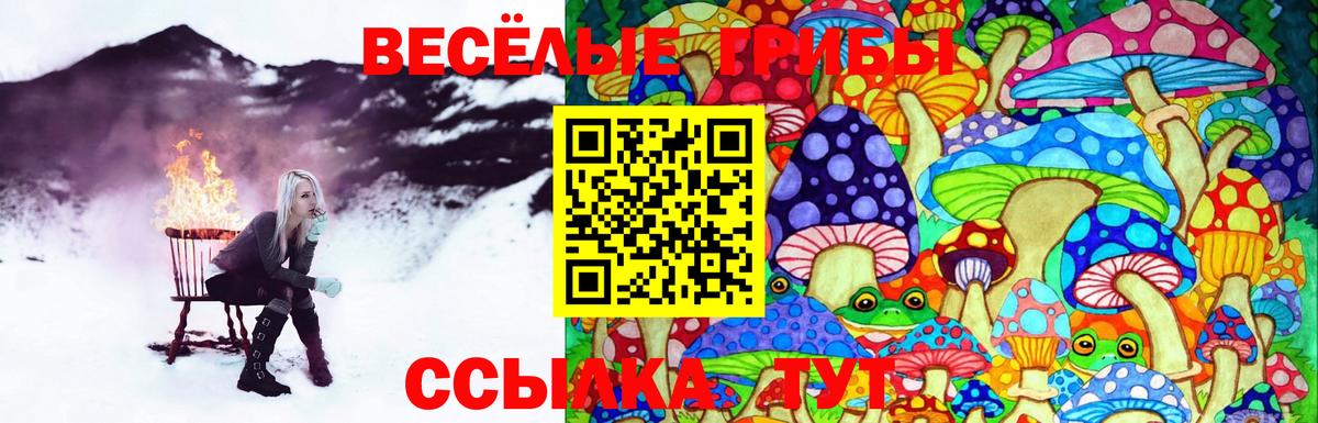 Ревда  Галлюциногенные грибы MAGIC MUSHROOMS  Галлюциногенные грибы ЛСД  Вход с VPN 