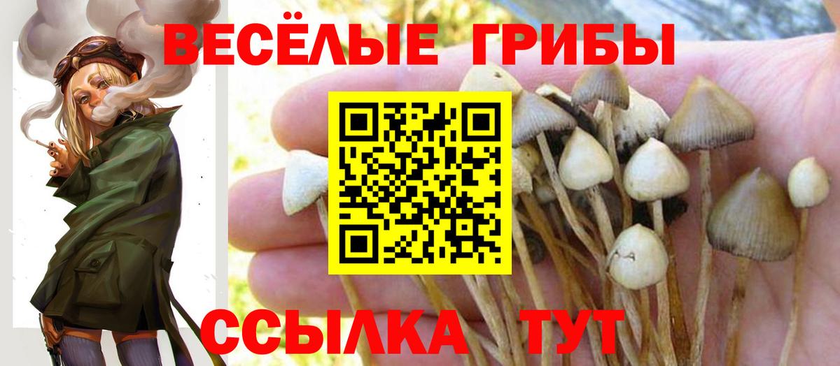 Галлюциногенные грибы ЛСД Ревда